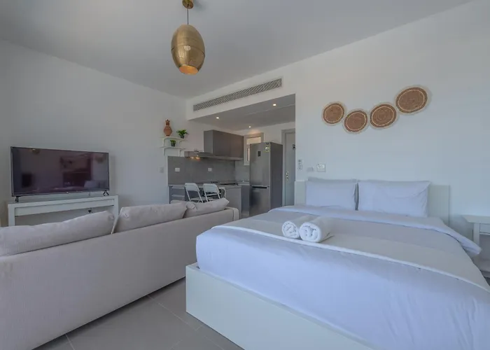 The Snuggly Sholan 1 El Gouna
