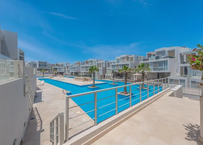 The Snuggly Sholan 1 El Gouna